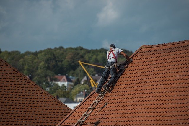 rénovation toiture