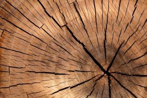 bois de chauffage Landes