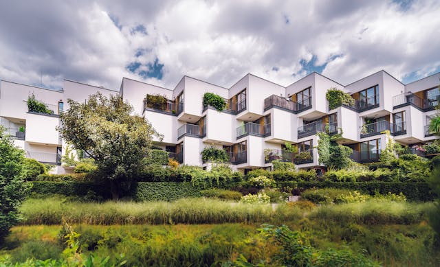 immobilier écologique