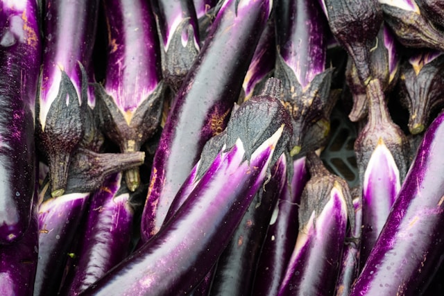 congélation des aubergines
